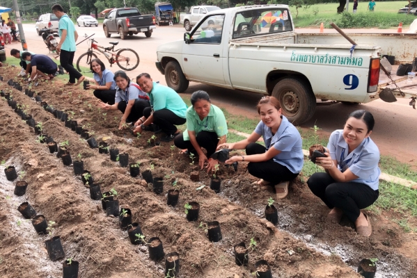 ร่วมกันปลูกดอกดาวเรือง รำลึกพระมหากรุณาธิคุณ ในหลวง ร.๙