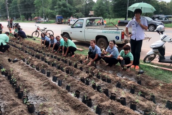 ร่วมกันปลูกดอกดาวเรือง รำลึกพระมหากรุณาธิคุณ ในหลวง ร.๙