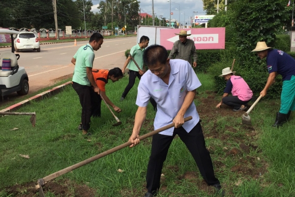 ร่วมกันปลูกดอกดาวเรือง รำลึกพระมหากรุณาธิคุณ ในหลวง ร.๙