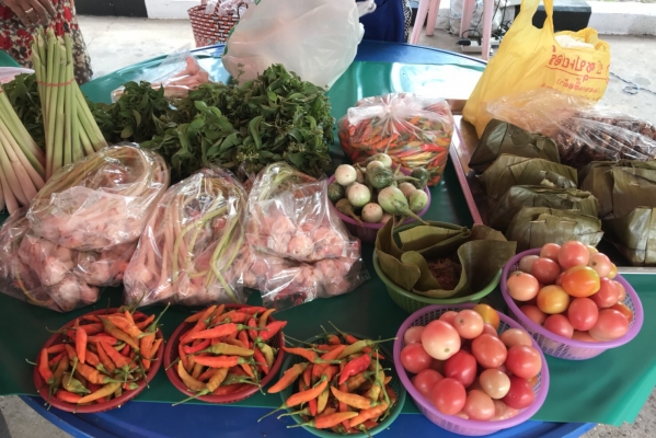 ตลาดนัดสีเขียว (Green Market)