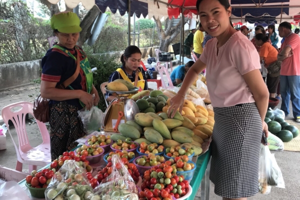 ตลาดนัดสีเขียว (Green Market)