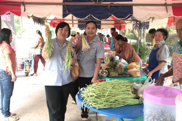 ตลาดนัดสีเขียว (Green Market)