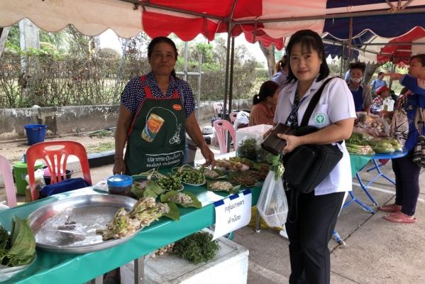 ตลาดนัดสีเขียว (Green Market)
