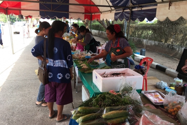 ตลาดนัดสีเขียว (Green Market)