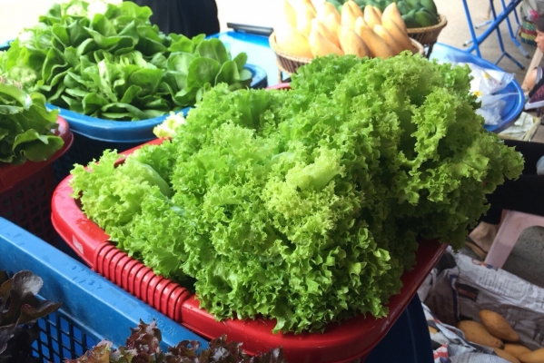 ตลาดนัดสีเขียว (Green Market)