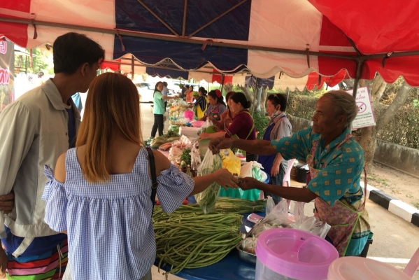 ตลาดนัดสีเขียว (Green Market)