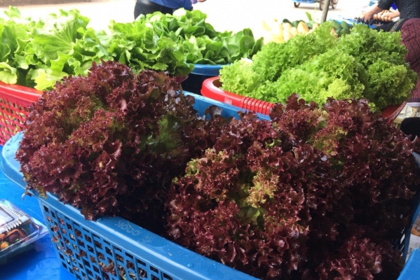 ตลาดนัดสีเขียว (Green Market)