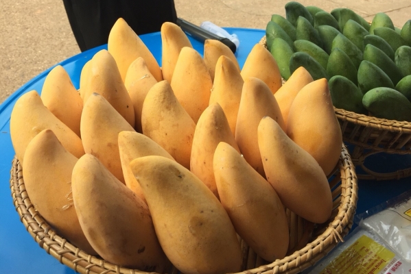 ตลาดนัดสีเขียว (Green Market)