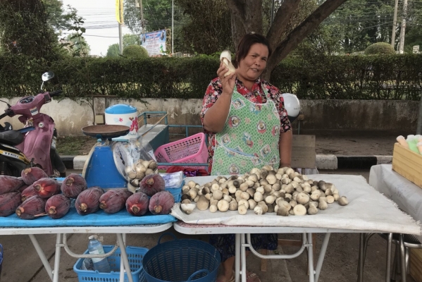ตลาดนัดสีเขียว (Green Market)