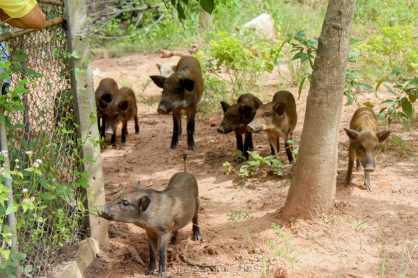 ออกเยี่ยมเสริมพลังด้านพัฒนาการเด็กอำเภอวังสามหมอ 
