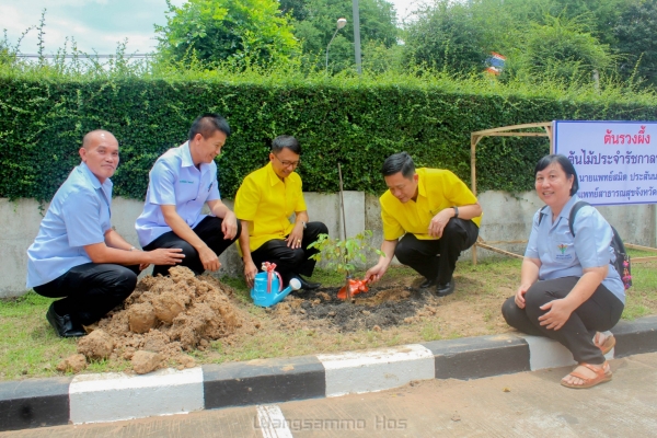 ออกเยี่ยมเสริมพลังด้านพัฒนาการเด็กอำเภอวังสามหมอ 