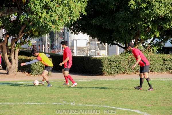 กีฬาสาธารณสุขเกมส์ 2562