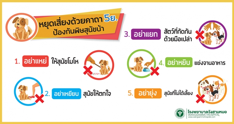 หยุดเสี่ยงด้วยคาถา 5ย. ป้องกันพิษสุนัขบ้า